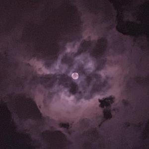 大学女厕正面撒尿免费
